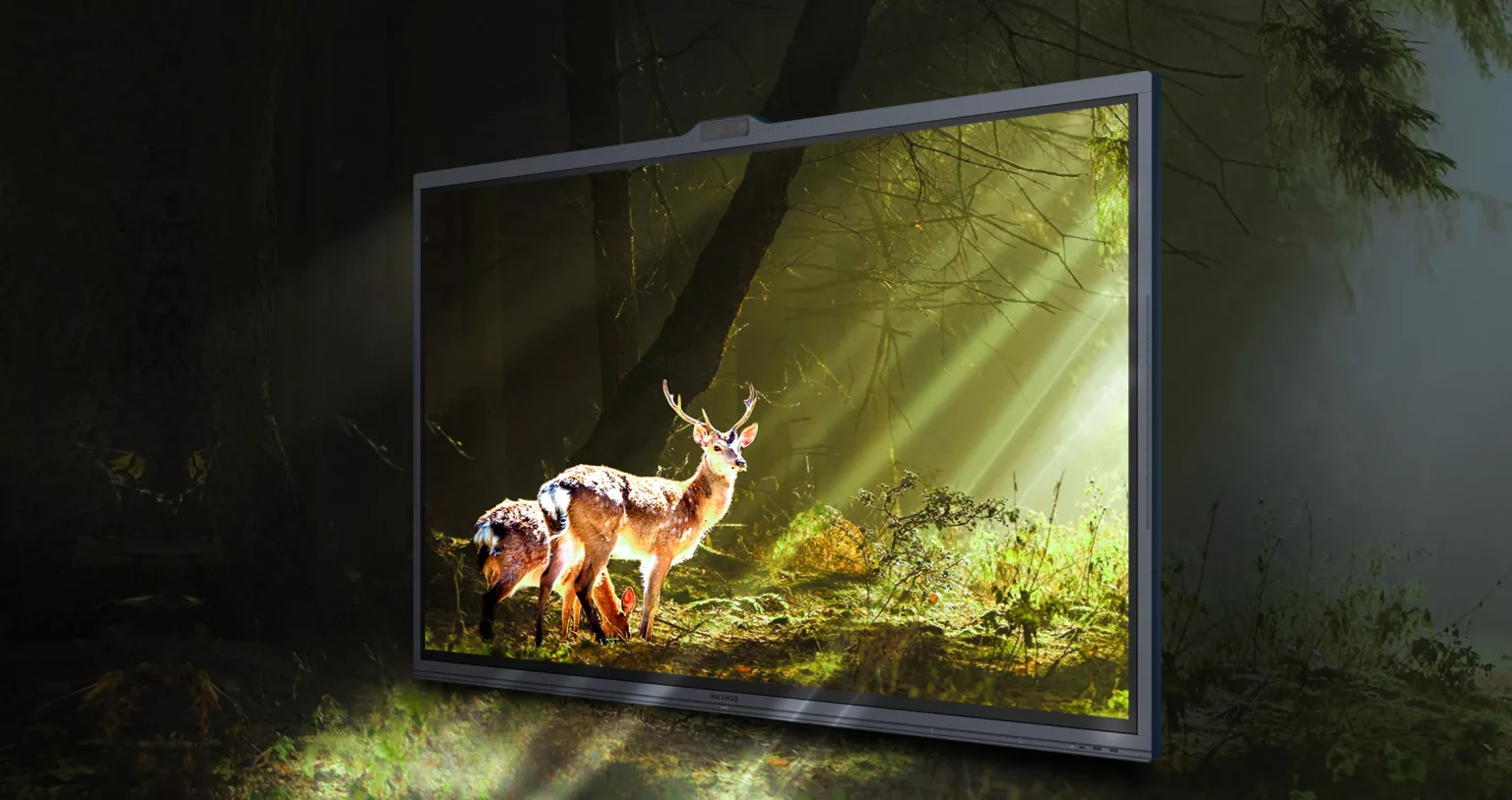 MAXHUB V6 ViewPro 4K 画质